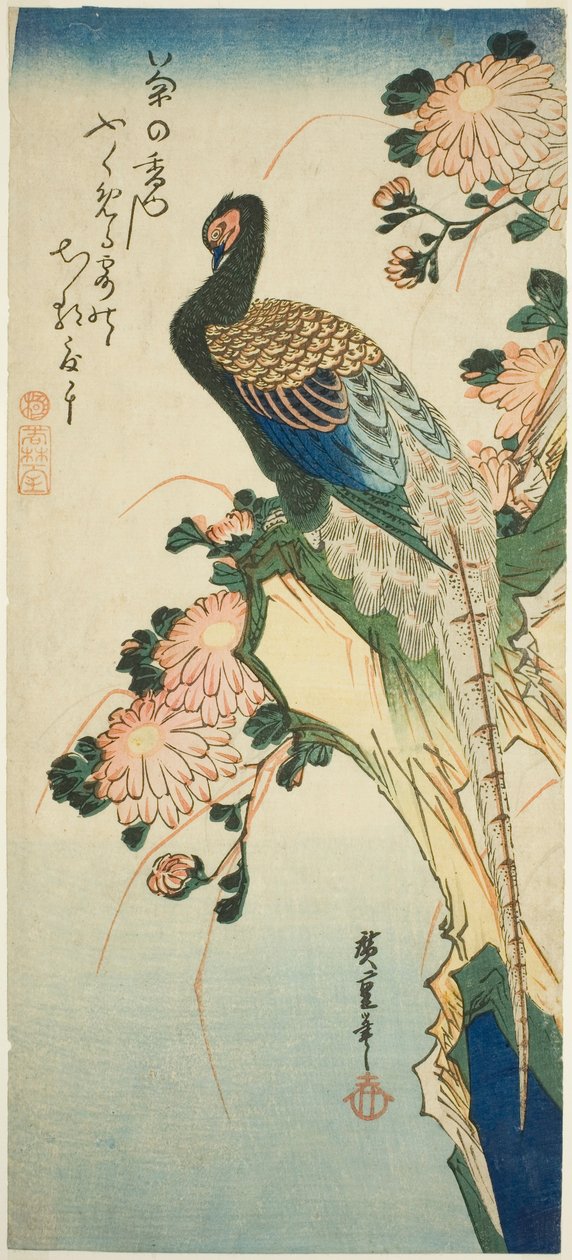 Fagiano e crisantemi da Utagawa Hiroshige