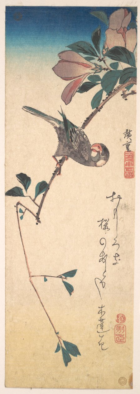Purpurmagnolie und Hornvogel da Utagawa Hiroshige