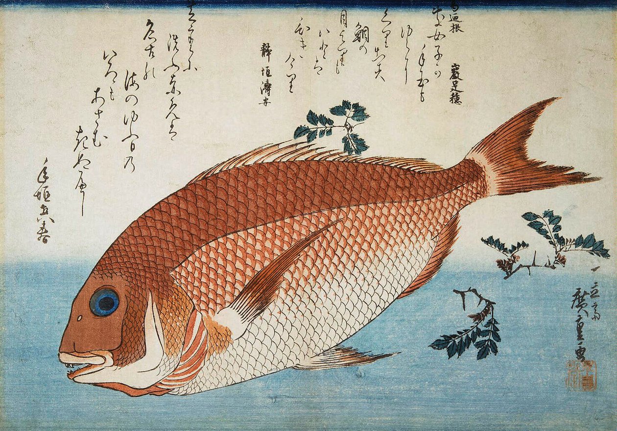 Orata, 1832-1834 da Utagawa Hiroshige