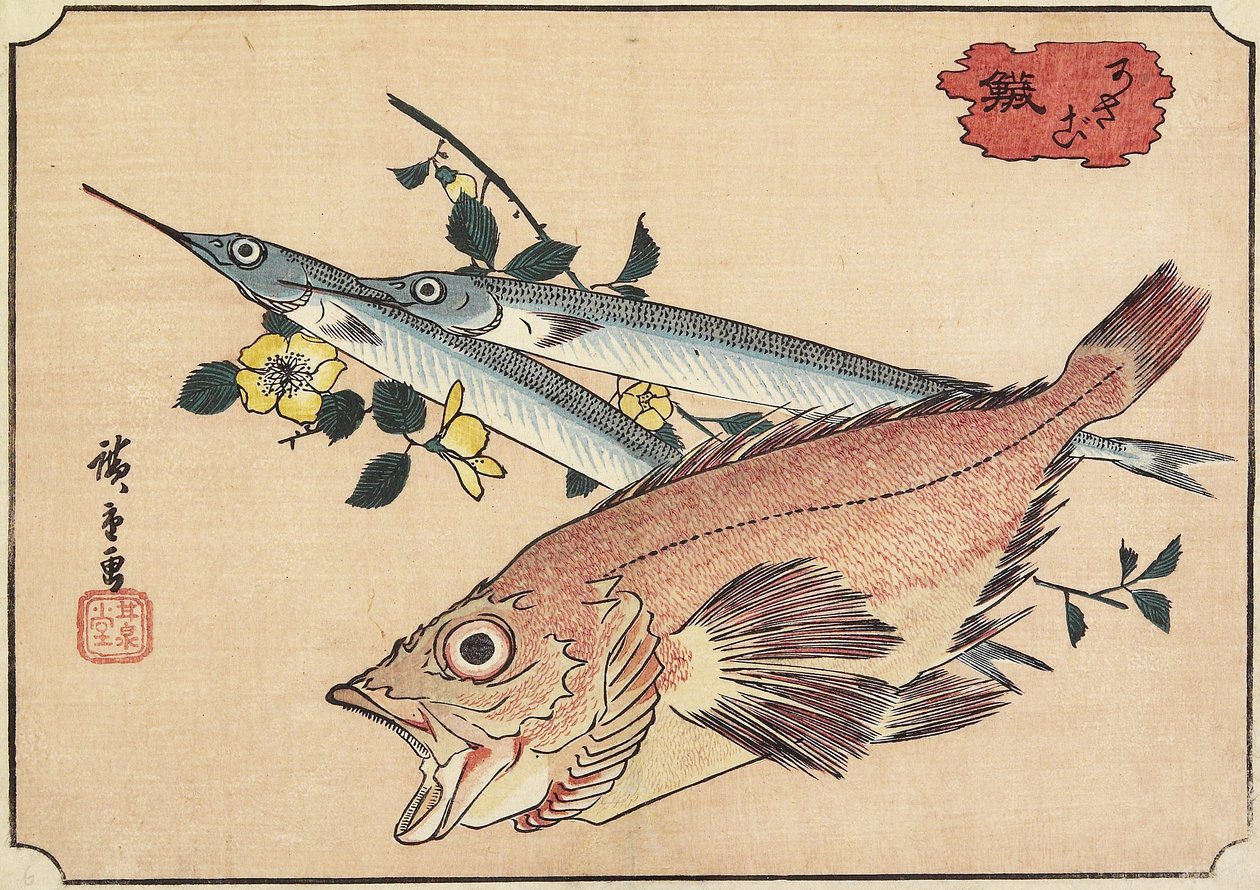 Pesce roccia e pesce mezzobecco, inizio XIX secolo da Utagawa Hiroshige