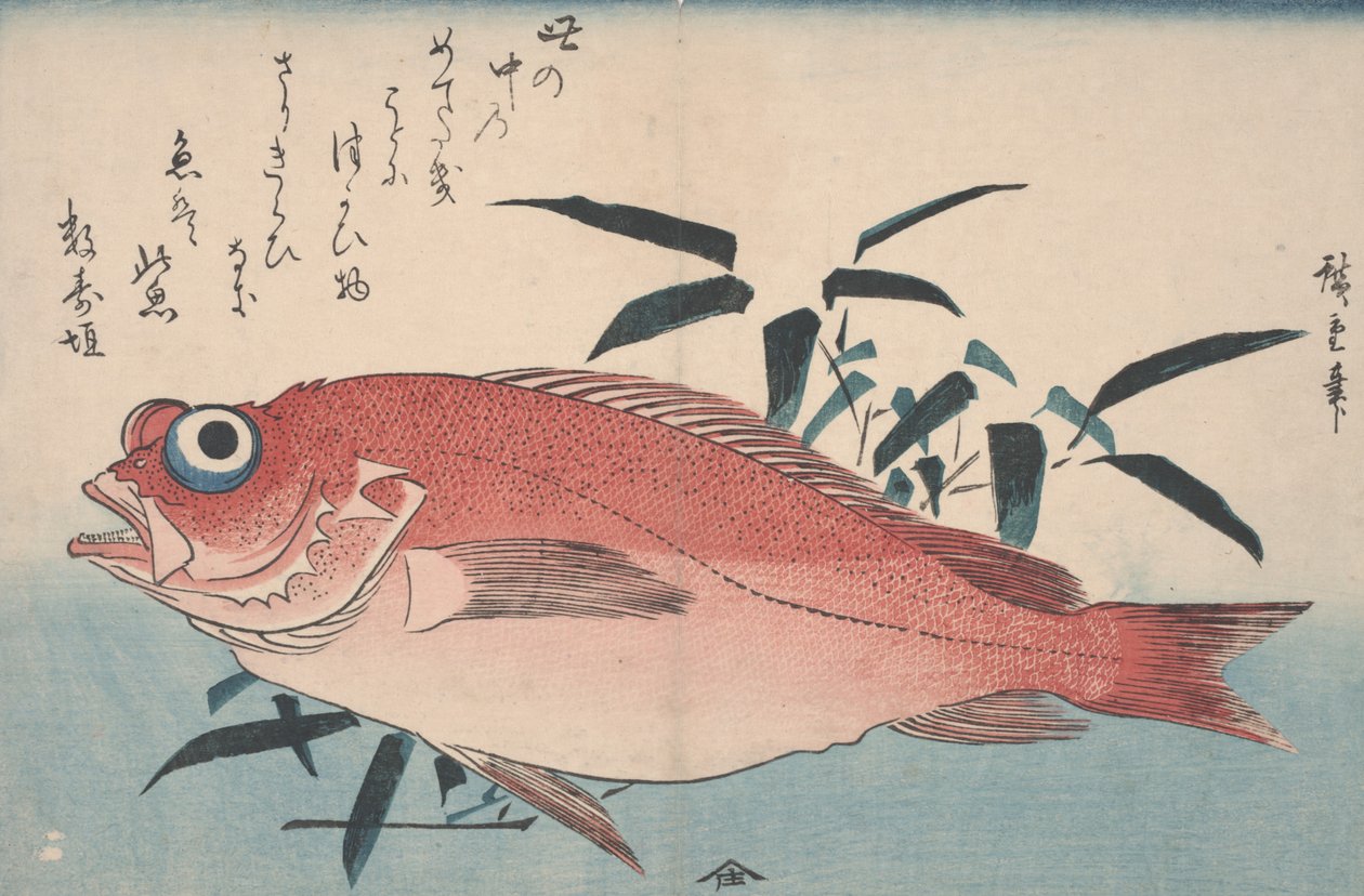 Orata e erba di bambù, 1840 da Utagawa Hiroshige