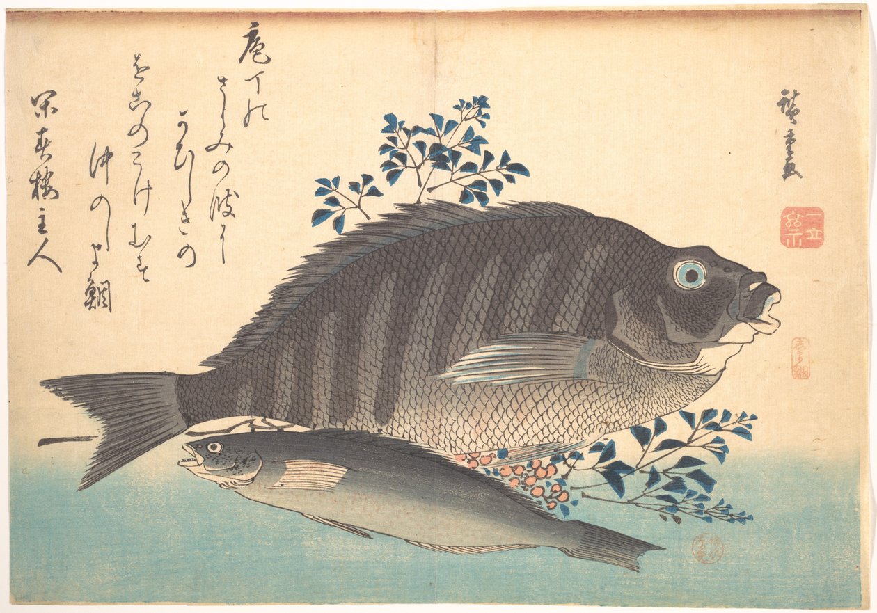 Pesci shimadai e ainame, dalla serie Uozukushi (Ogni varietà di pesce) da Utagawa Hiroshige