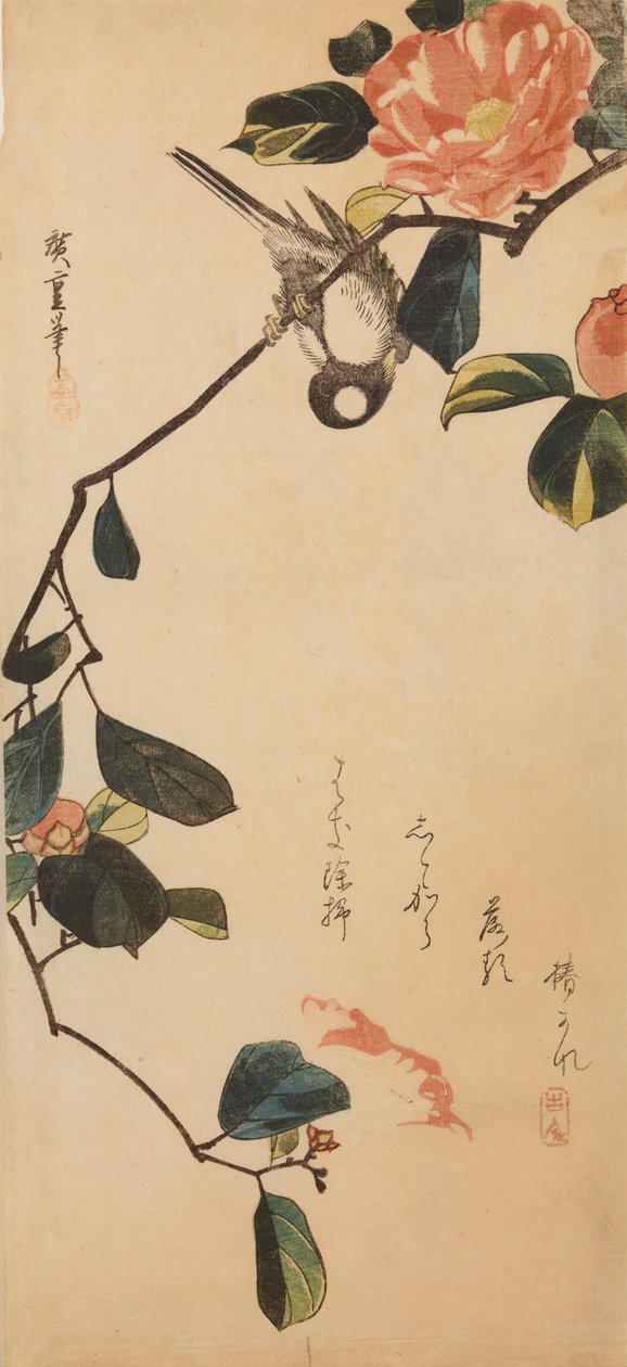 Cinciarella su un ramoscello di camelia in fiore / Tsubaki-ni shijukara da Utagawa Hiroshige