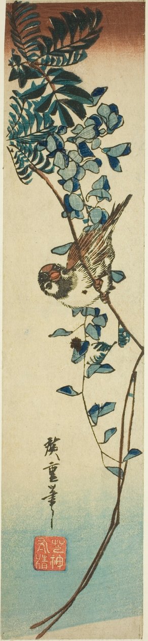 Passero e glicine da Utagawa Hiroshige