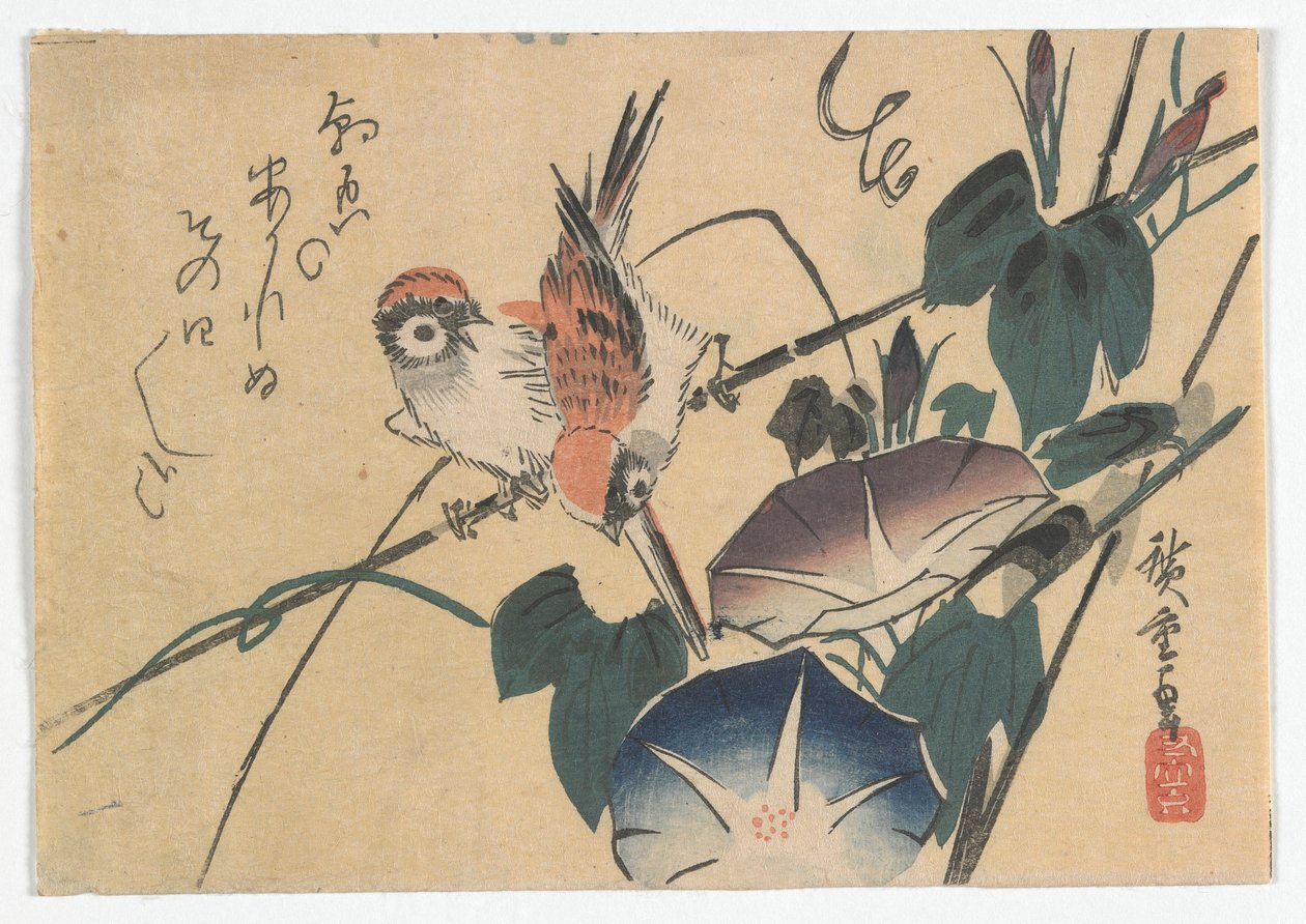 Passeri e Gloria del Mattino, Periodo Edo, fine 1830 da Utagawa Hiroshige