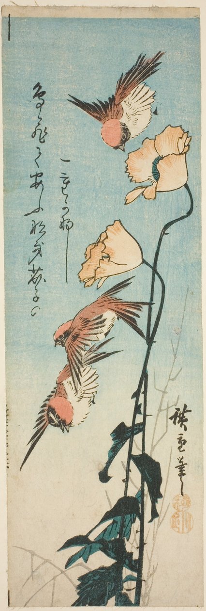 Passeri e papaveri da Utagawa Hiroshige
