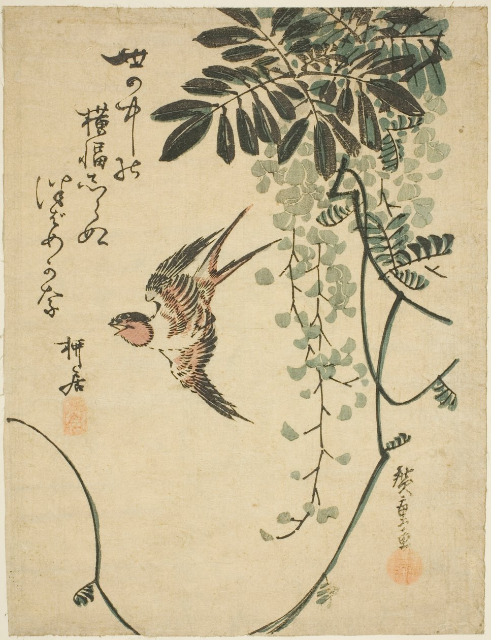 Rondine e glicine da Utagawa Hiroshige