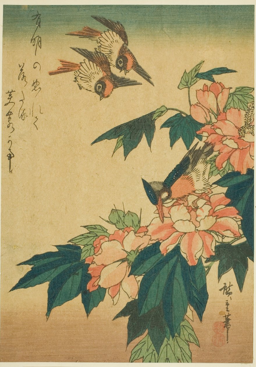 Rondini, martin pescatore e ibisco da Utagawa Hiroshige