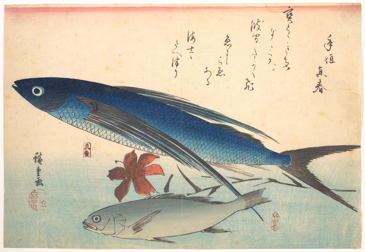 Pesci Tobiuo e Ishimochi, dalla serie Uozukushi (Ogni varietà di pesce) da Utagawa Hiroshige