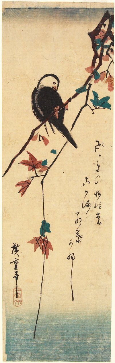 Uccello dalla testa bianca su un ramo di acero da Utagawa Hiroshige