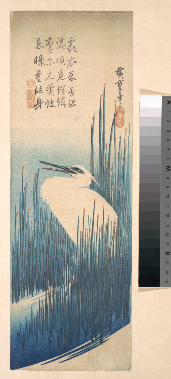 Weißer Reiher zwischen Schilf da Utagawa Hiroshige