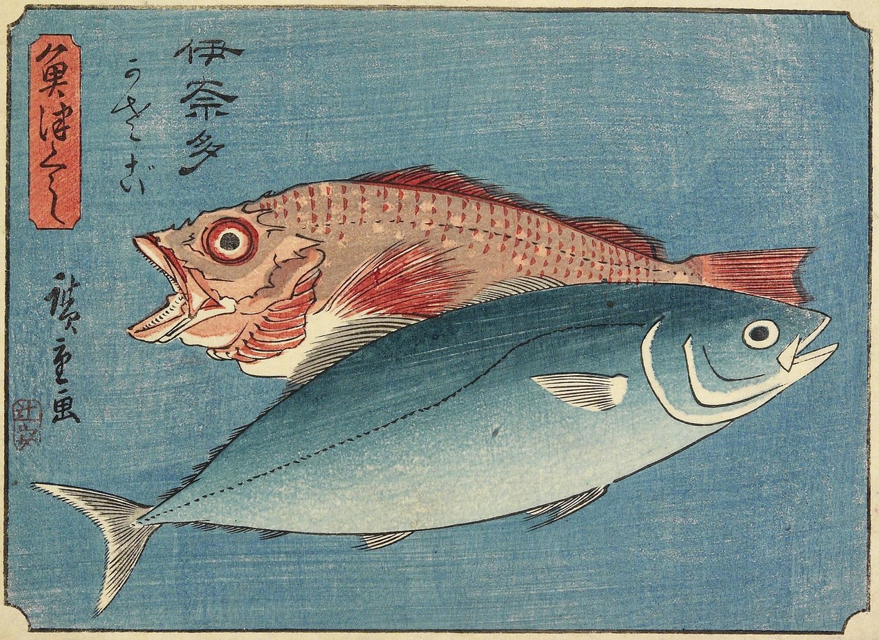 Ricciola e pesce di scoglio, 1830-1844 da Utagawa Hiroshige