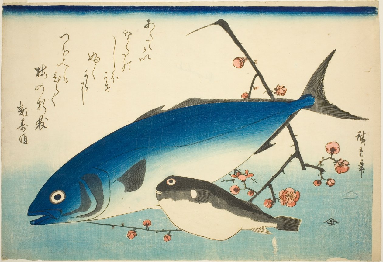 Ricciola, pesce palla e ramo di prugna da Utagawa Hiroshige