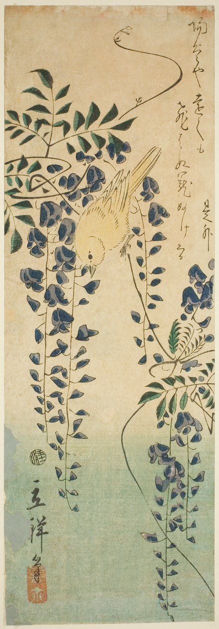 Canarino e glicine da Utagawa Hiroshige II