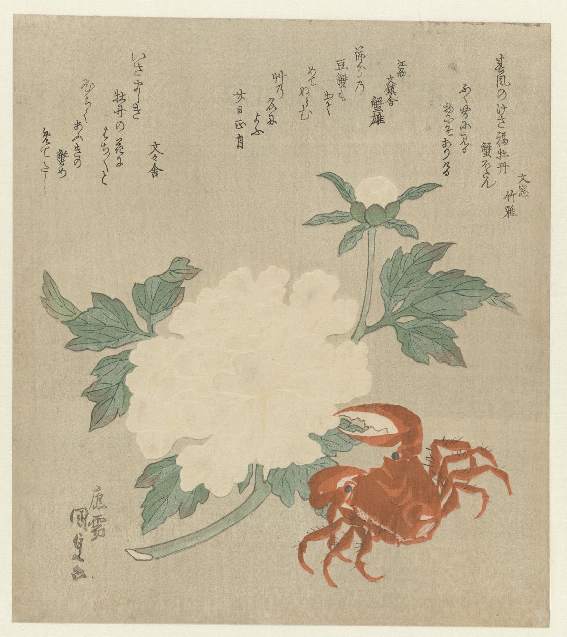 Peonia con granchio da Utagawa Kunisada (I)