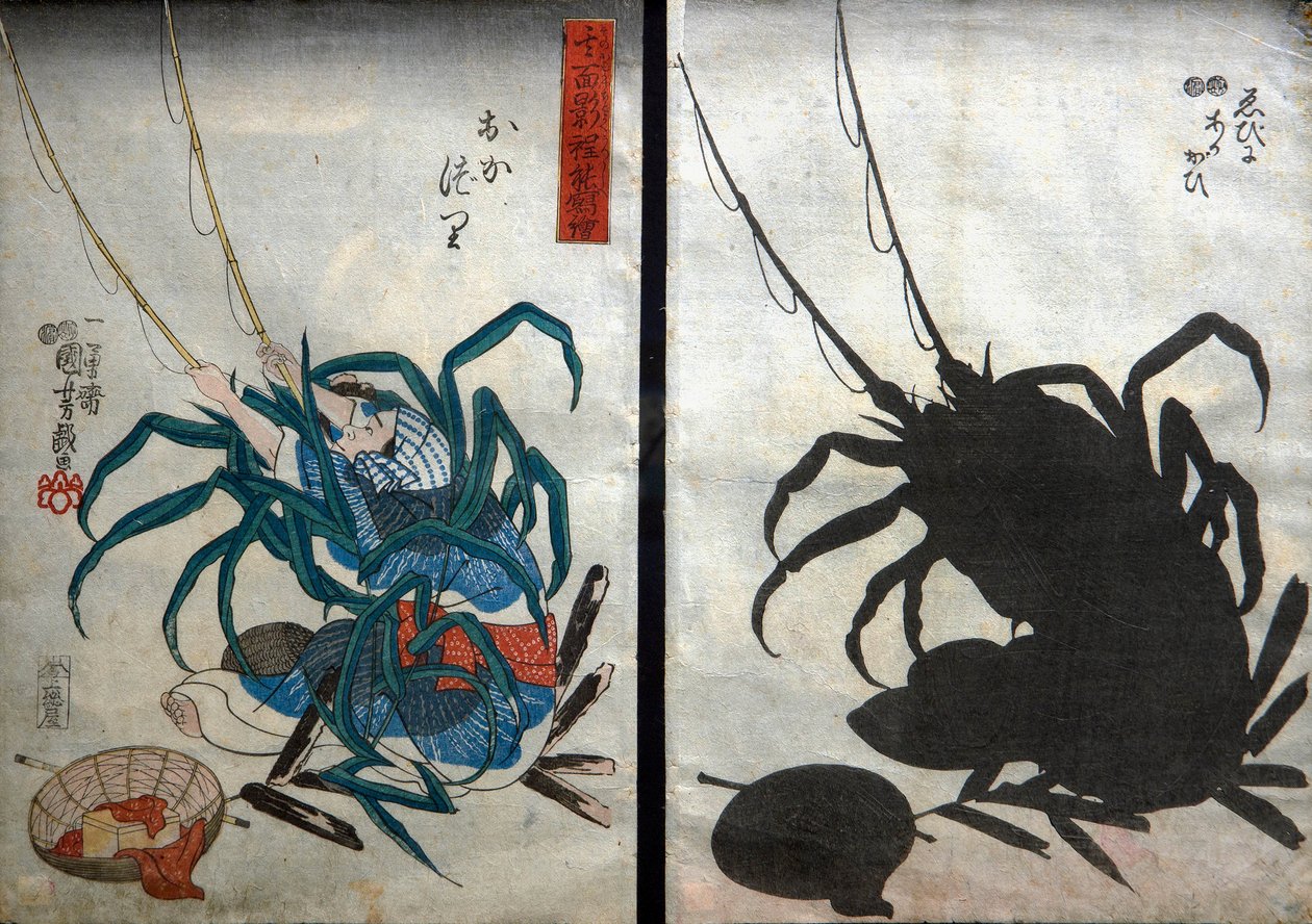 Pescatore; Aragosta e conchiglia di arca, Serie: Immagini d