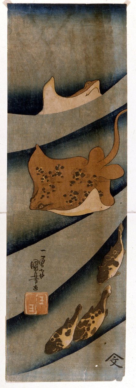 Stampe di Utagawa Kuniyoshi che raffigurano il pesce da Utagawa Kuniyoshi