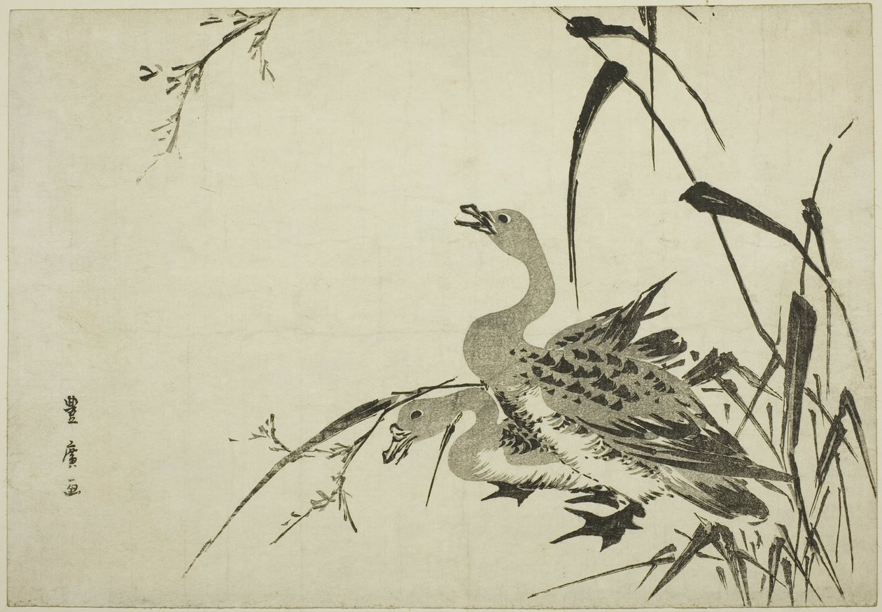 Oche selvatiche e canne da Utagawa Toyohiro
