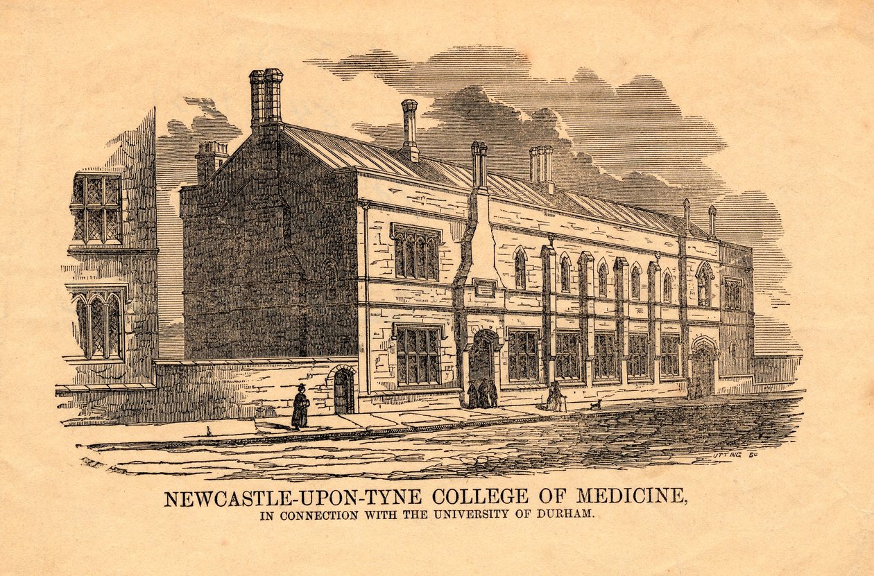 College di Medicina, Newcastle upon Tyne da Utting