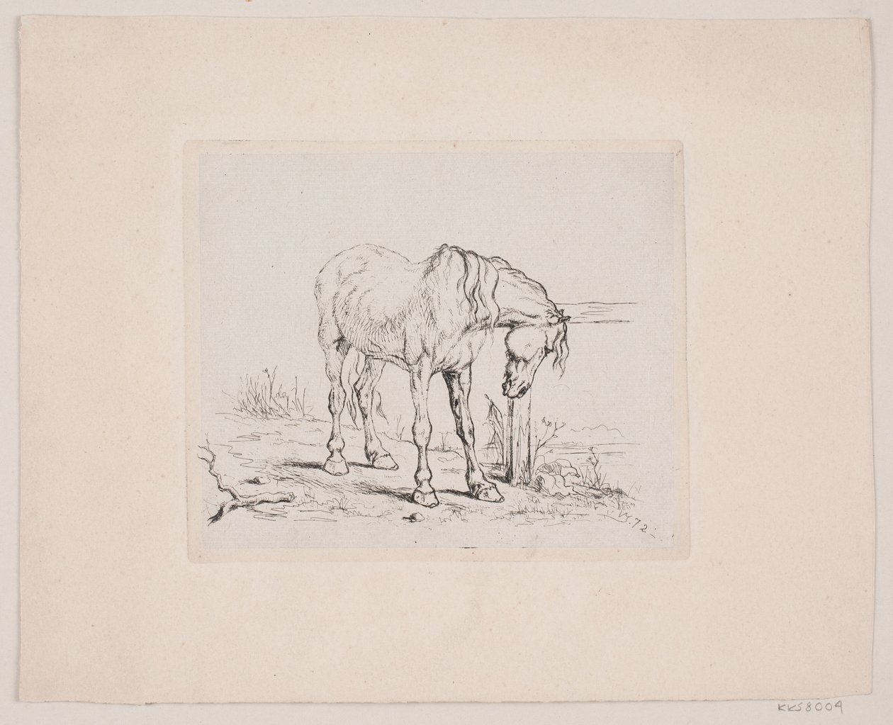 Un vecchio cavallo da Valdemar Irminger
