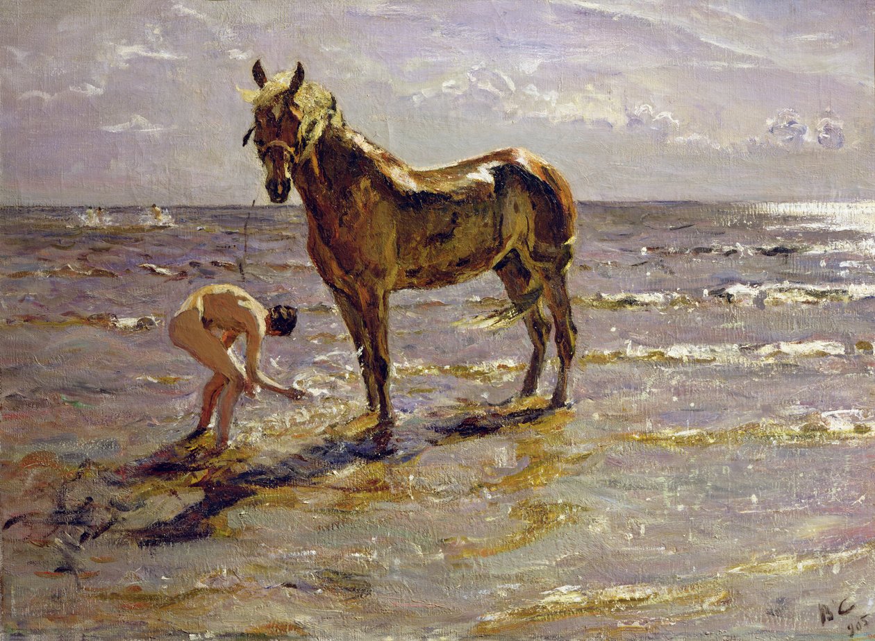 Lavare un cavallo, 1905 da Valentin Aleksandrovich Serov
