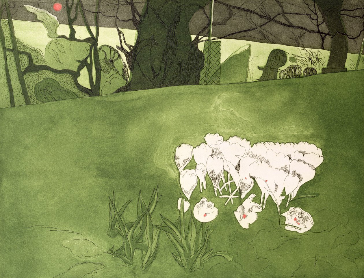Crocus (stampa) da Valerie Daniel