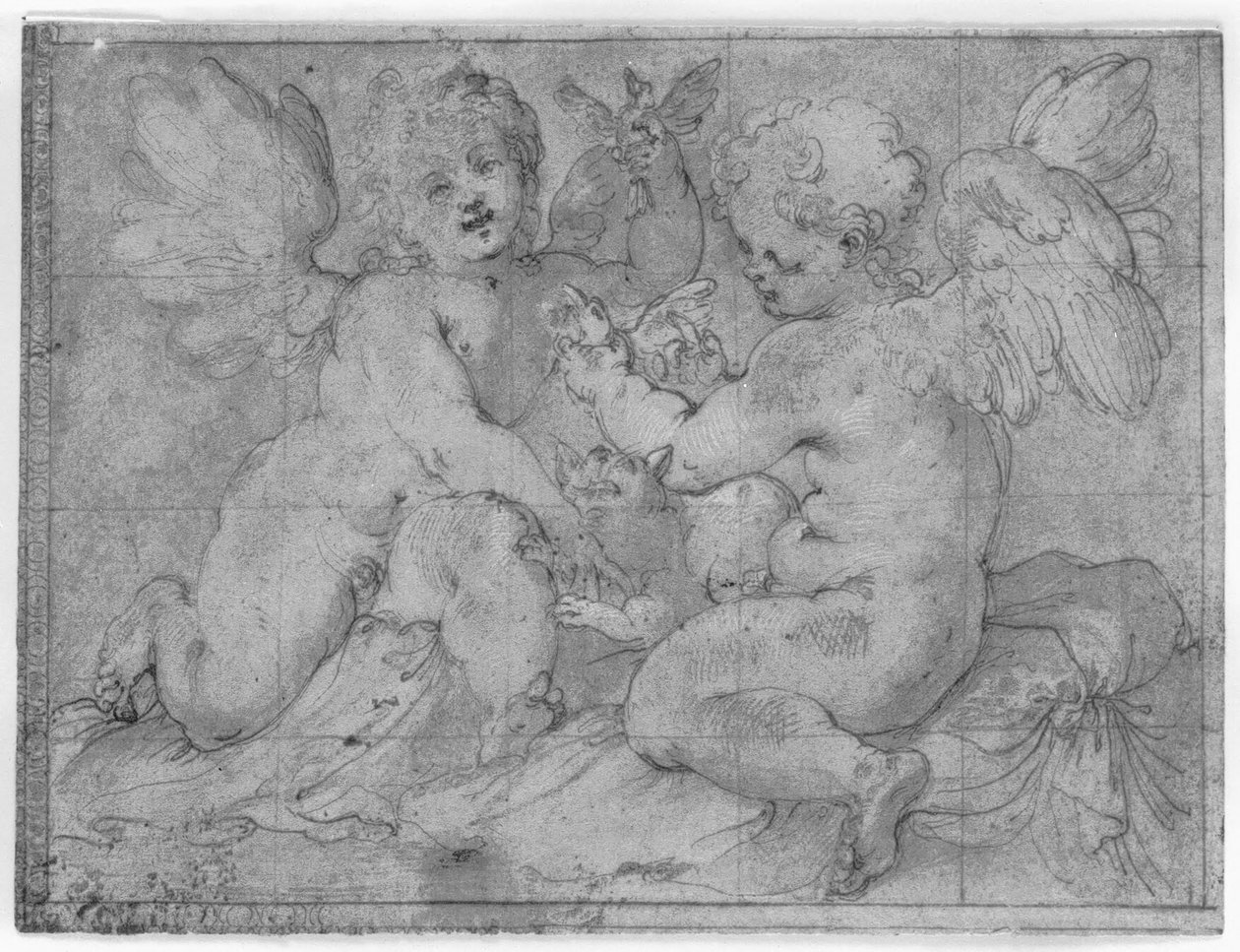 Due putti che giocano con un gatto e due uccelli da Valerio Castello