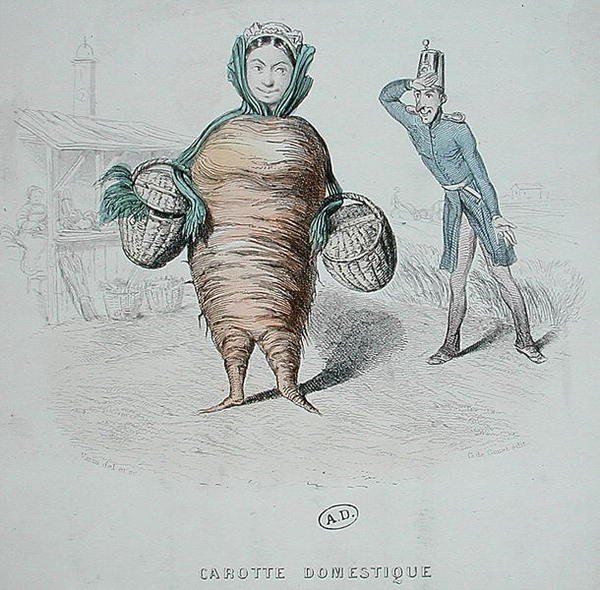 Cartone animato di un servitore come una carota da Varin Varin