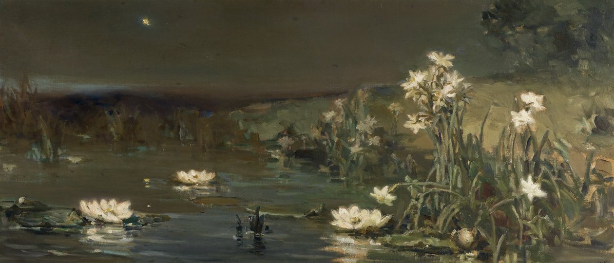 Stella nella notte da Vasilii Kotarbinsky