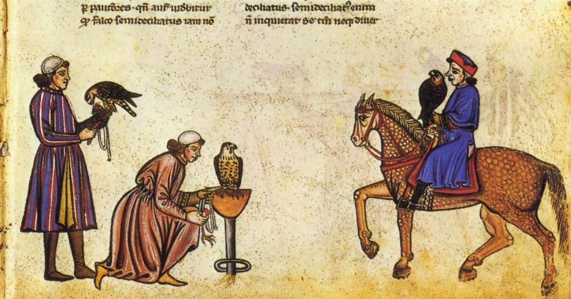 Libro di falconeria di Federico II da Vatican Library