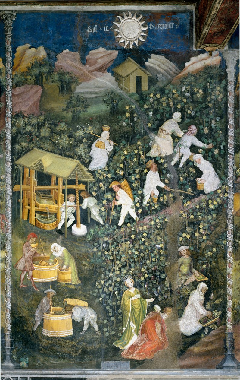 Ottobre: scena di vendemmia, raccolta dell