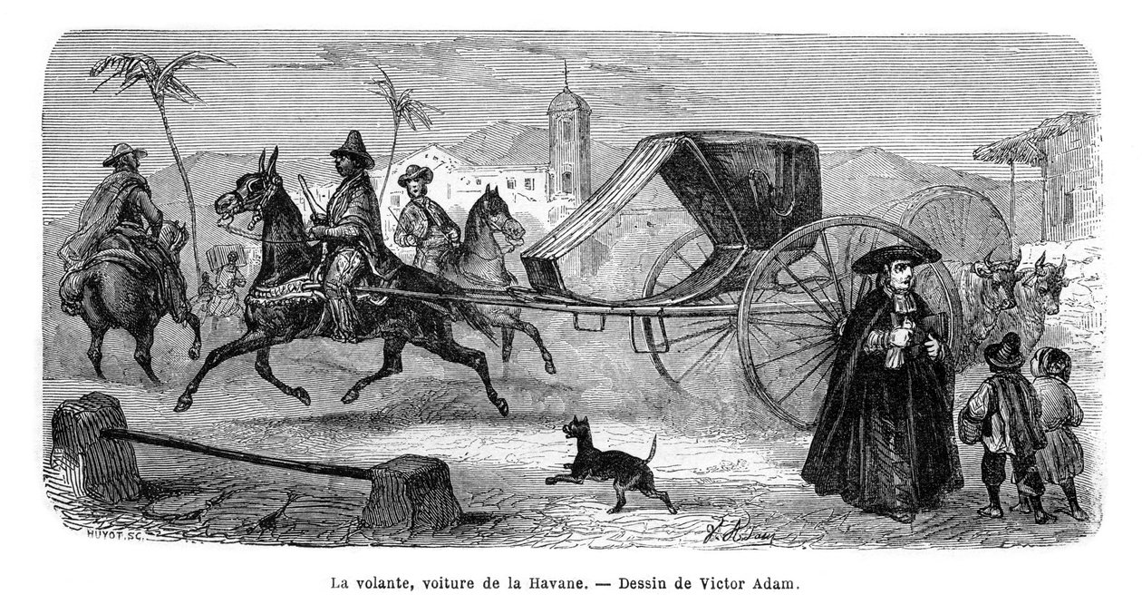 Carrozza, L