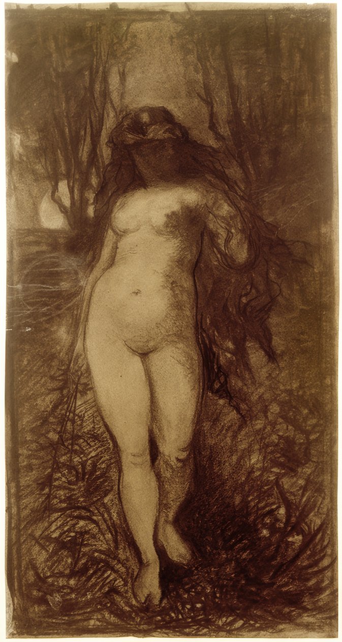 Nudo femminile in paesaggio notturno con luna piena da Victor Müller