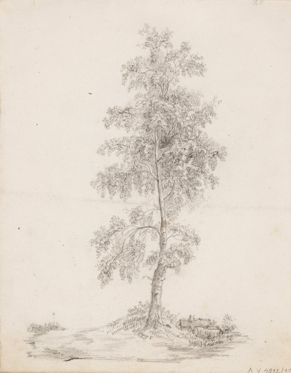 Betulla da Victoria Åberg
