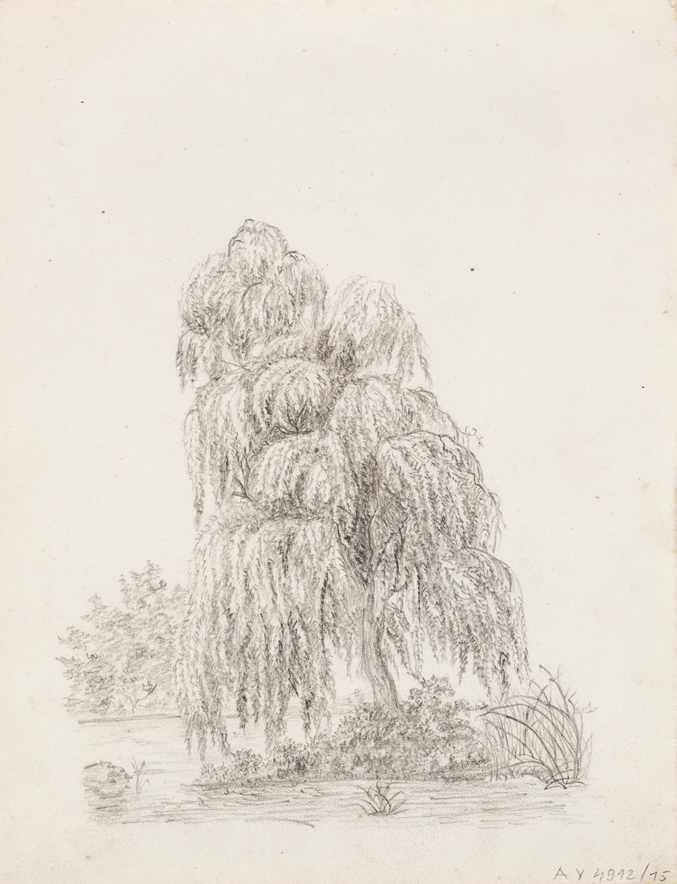 Albero a foglia larga da Victoria Åberg