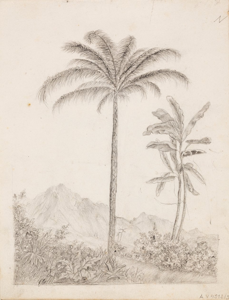 Palme da Victoria Åberg