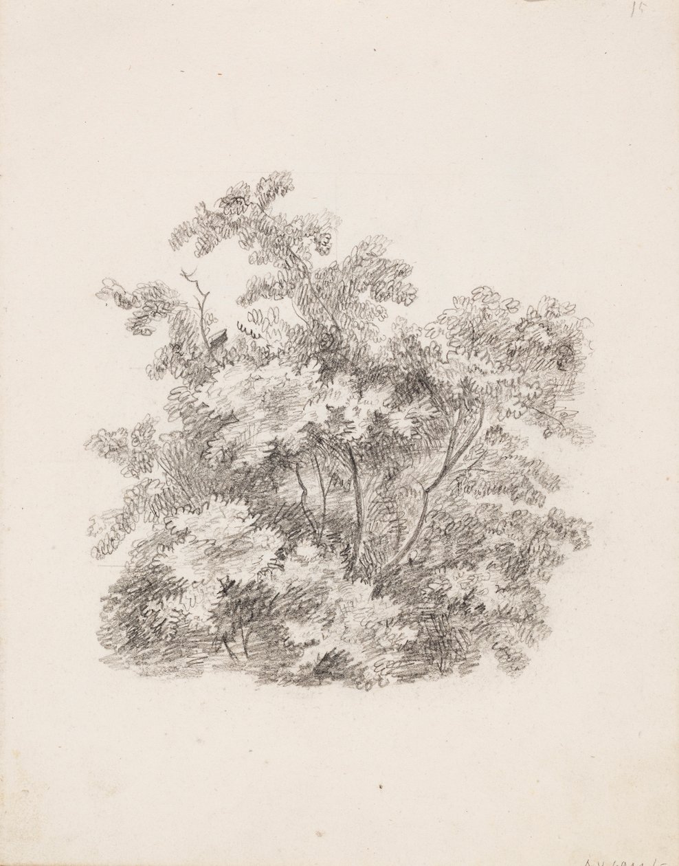 Arbusti da Victoria Åberg