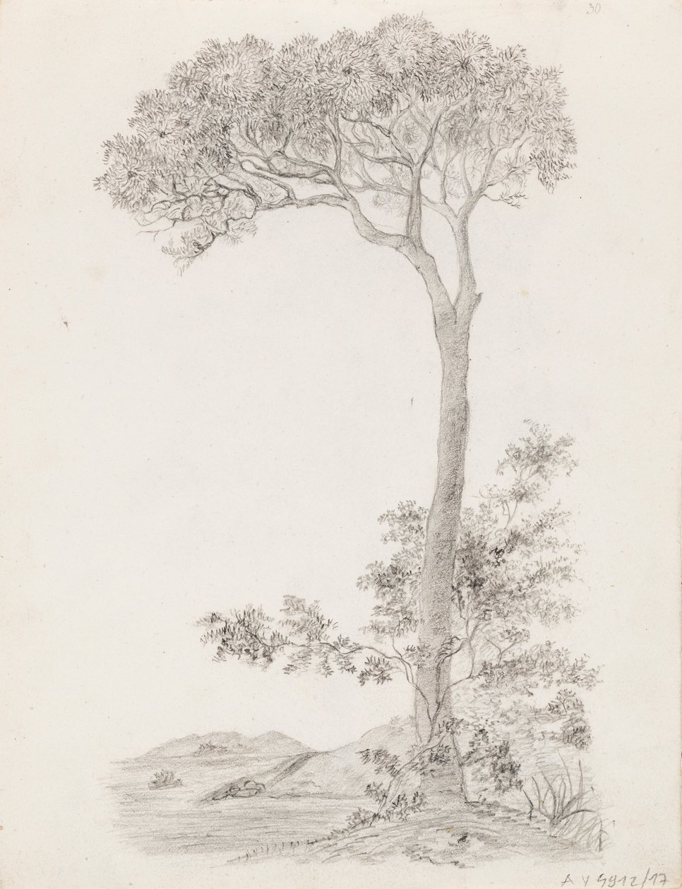 Alberi da Victoria Åberg