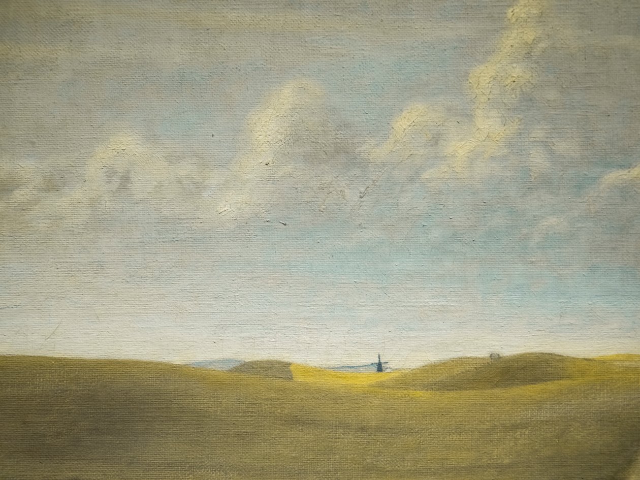 Paesaggio (vista di Refsnaes), (dettaglio) da Vilhelm Hammershoi