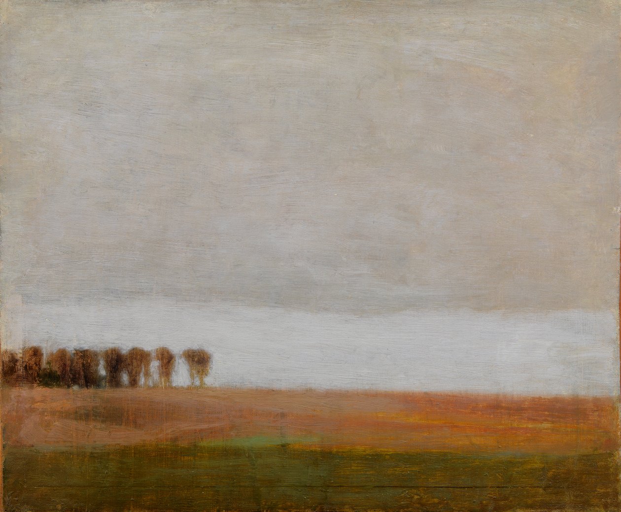 Veduta di Jægersborg Allé. Gentofte, a nord di Copenaghen da Vilhelm Hammershøi