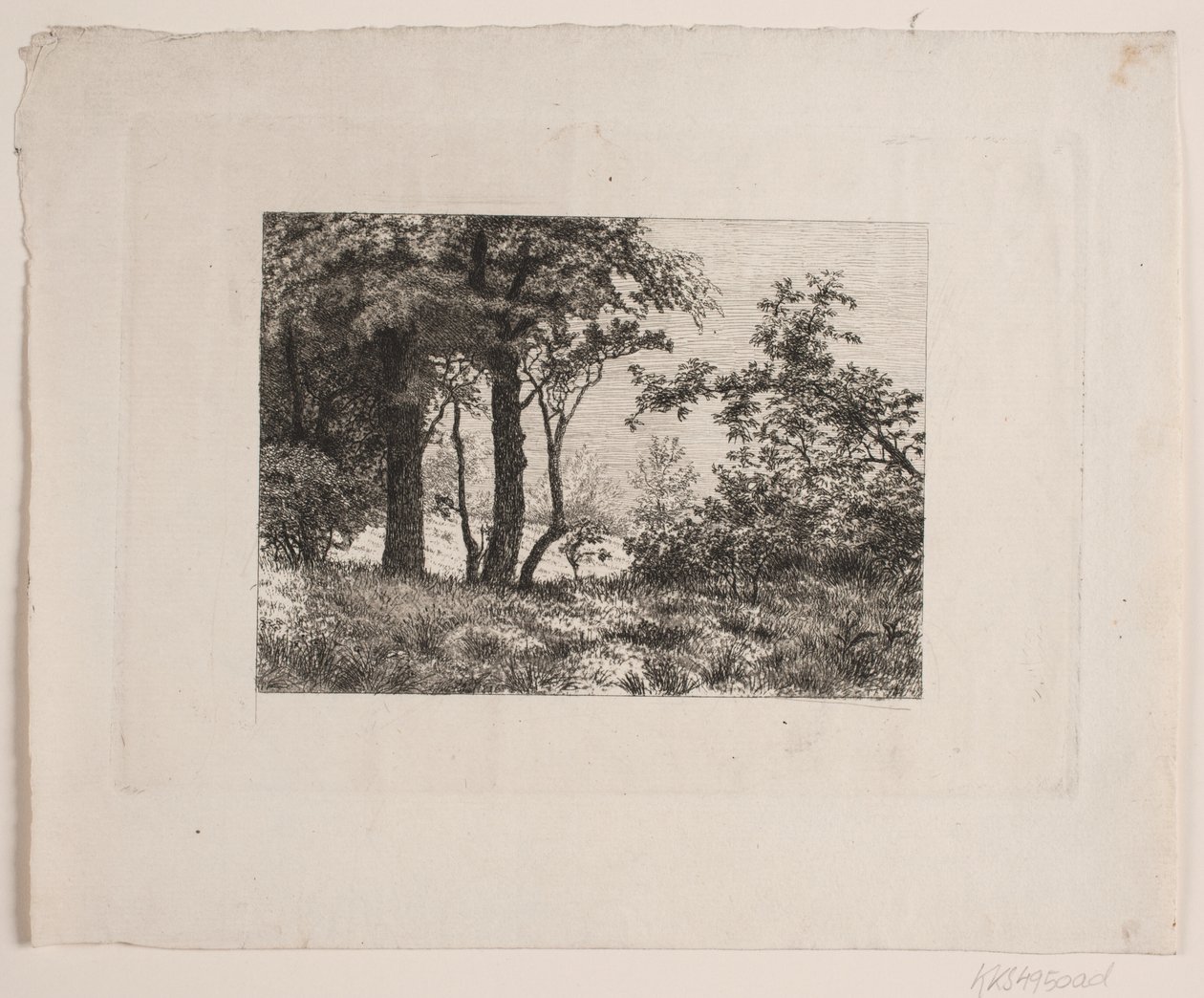 Querce ai margini di una foresta da Vilhelm Kyhn