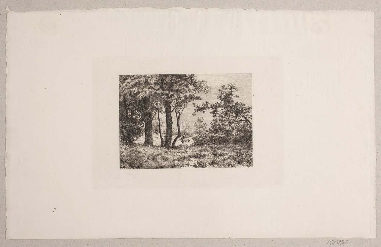 Querce ai margini di una foresta da Vilhelm Kyhn