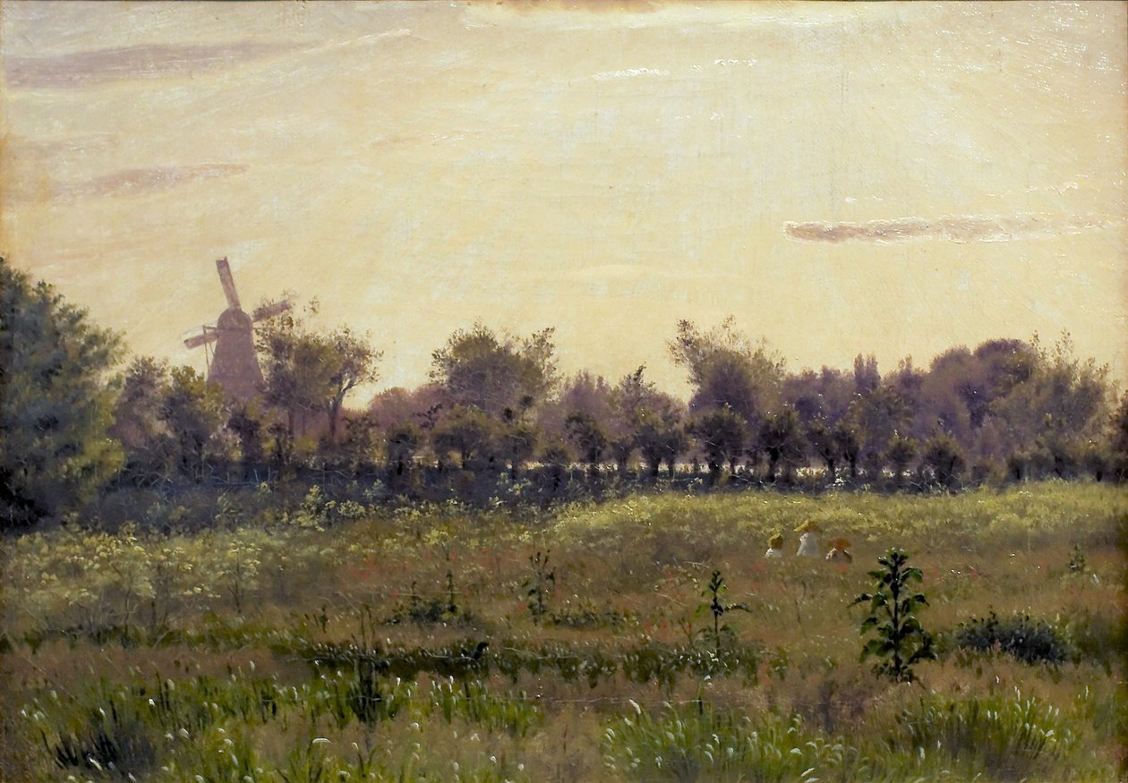 Il prato vicino alla casa dell