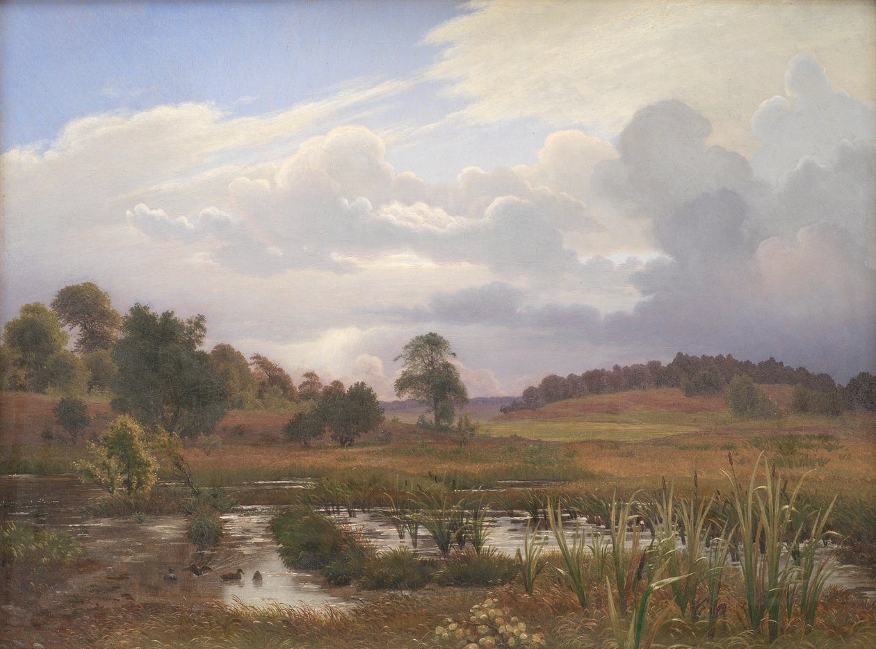 Paesaggio vicino alla Foresta Nordskoven, Jægerspris, Zealand da Vilhelm Kyhn