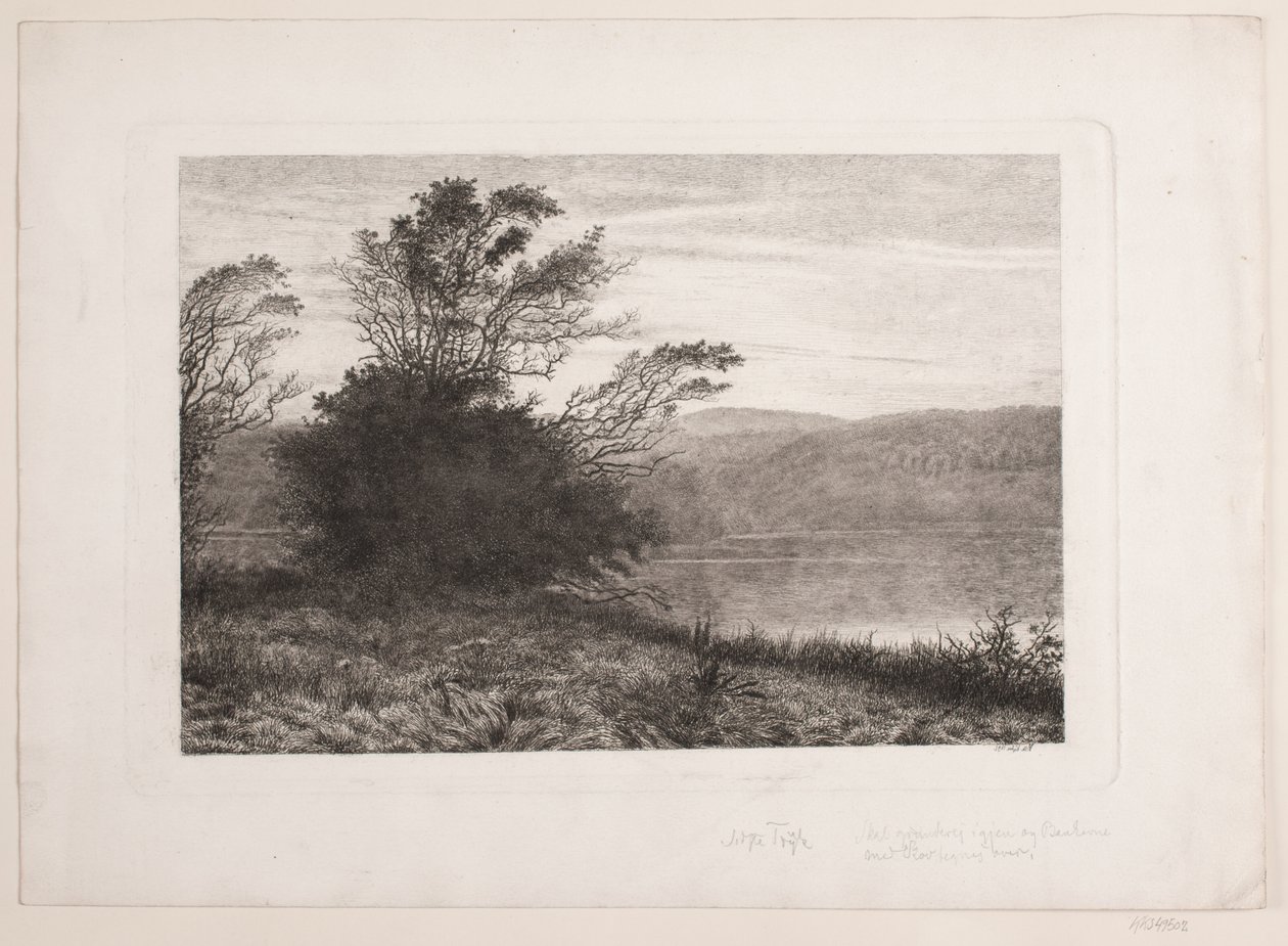 Rye sø da Vilhelm Kyhn