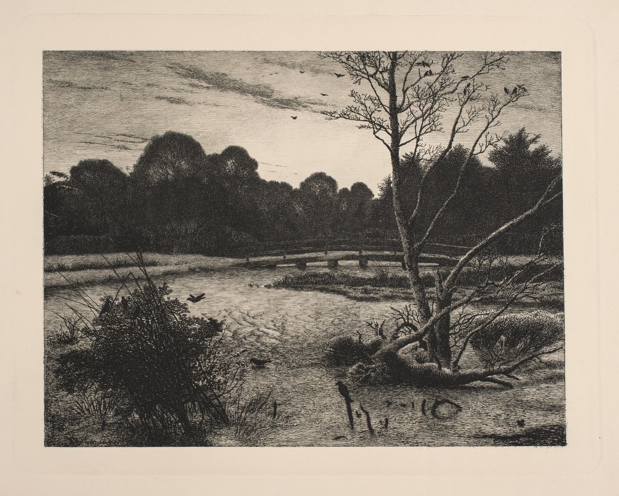 Tramonto in una foresta da Vilhelm Kyhn