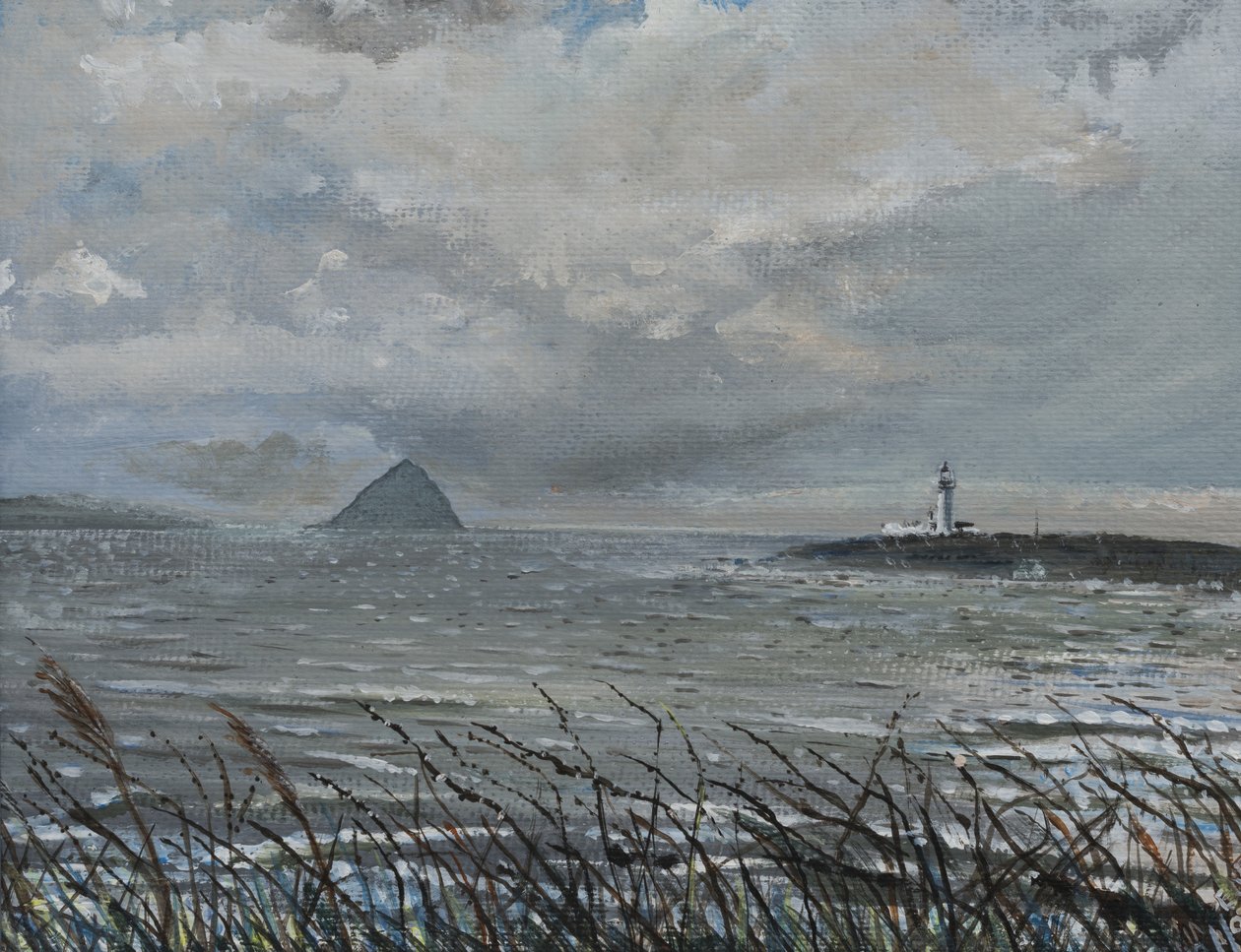 Ailsa Craig da Arran da Vincent Alexander Booth