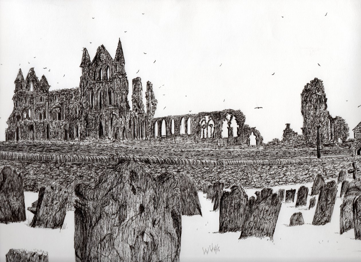 Abbazia di Whitby, 2007 da Vincent Alexander Booth