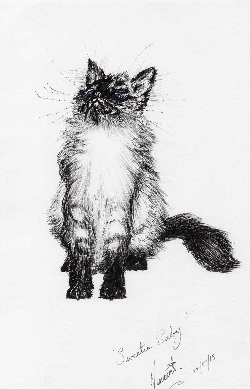 bambino dolce, 2015 da Vincent Alexander Booth