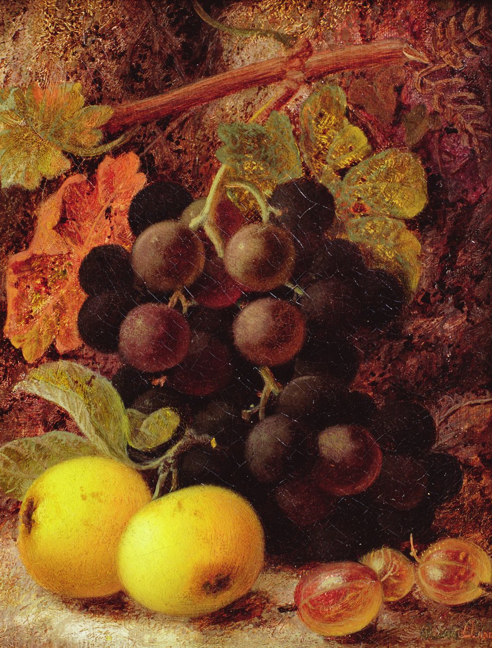 Uva, mele e uvaspina da Vincent Clare